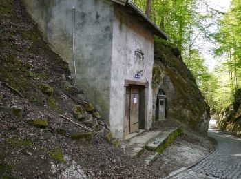 Tour Zu Fuß Raab - Schacherwaldweg - Photo