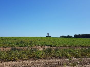 Tocht Stappen Luik - Rocourt - Crisnee - Rocourt  - Photo