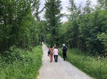 Randonnée A pied Inconnu - Rundweg A2 (Schellenberger Wald) - Photo