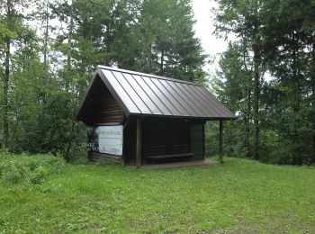 Tocht Te voet  - Gaggenau - Ebersteinburg - Photo