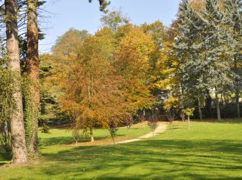 Excursión Senderismo Nivelles - RF-BB-07 - Nivelles - 2025-03-05 - Photo