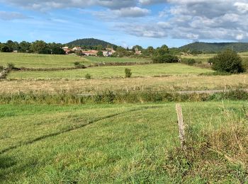 Trail Walking Alleyrac - PR581 : le moulin du Rocher - Photo