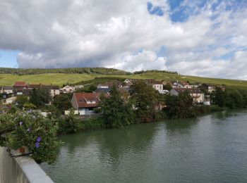 Tocht Stappen Germaine - RP51-02 Les Haies à Mardeuil - Photo