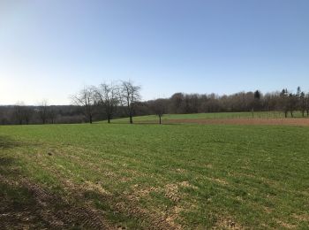 Tour Reiten Fougerolles-Saint-Valbert - Balade 1h vers chez le poix - Photo