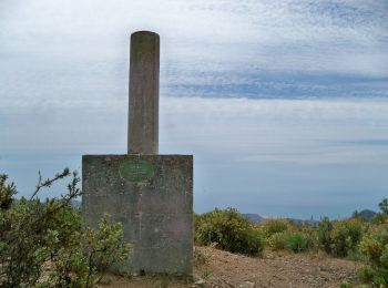 Tocht Te voet Málaga - Sendero Picapedrero-Boticario - Photo