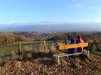 Tour Wandern Saint-Marcellin - Table d'orientation Chevrières  - Photo