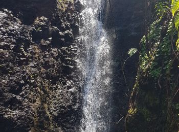 Randonnée Marche Achadas da Cruz - Levada des moines 1 - Photo