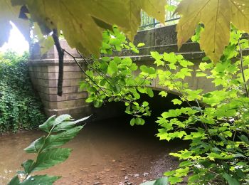 Tocht Te voet Tübingen - Geologischer Lehrpfad - Photo