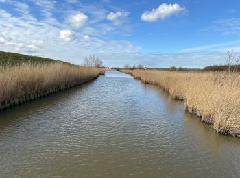 Trail Walking Sluis - Cadzand Bad Niewvliet Bad Zwarte polders 16,3 km - Photo