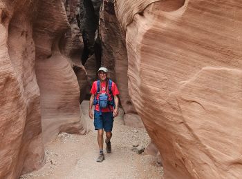 Randonnée Marche  - 2024 Vermillon Cliffs Bucksin Trail - Photo