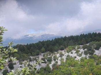 Percorso Marcia Flassan - PF-Flassan - La Combe de Canaud - Photo