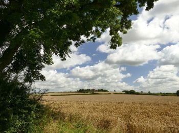 Randonnée A pied Bassetlaw - Trent Valley Way - Photo