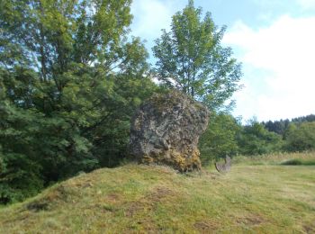 Tour Zu Fuß Gersfeld - Rhön-Rundweg 3 Dalherda - Photo