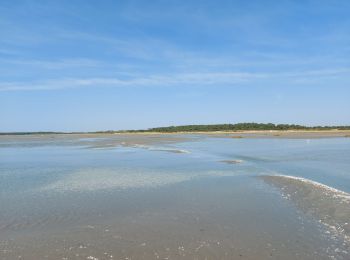 Excursión Senderismo Le Crotoy - balade baie de somme - Photo