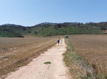 Tour Wandern Ayegui - 06 2023 los arcos - Photo