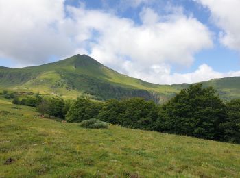 Tocht Stappen Lavigerie - Col de Serre - Pas de Peyrol - Puy Mary - Brèche de Rolland - Photo