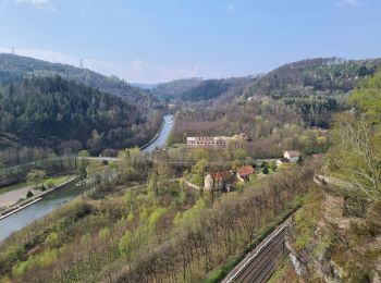 Tocht Stappen Lutzelbourg - Sentier des roches de Lutzelbourg - Photo