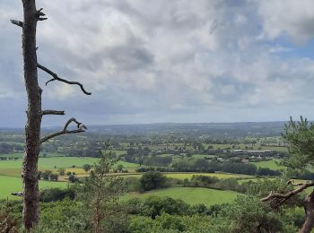 Randonnée Marche Cerisy-Belle-Étoile - mont cerisy grand c - Photo