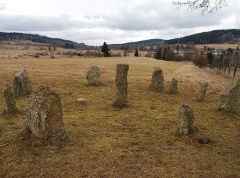 Excursión A pie Volary - Lukami pod Bobíkem a Jedlovou horou - Photo