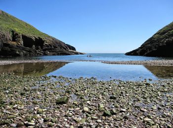 Percorso A piedi Waterford City Metropolitan District - Coast Walk, and road return - Photo