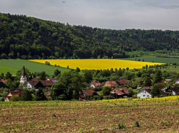 Excursión A pie Dietfurt an der Altmühl - Moosbärnweg - Photo