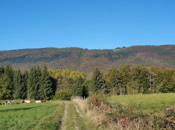 Tocht Stappen Arbusigny - Autour d'Arbusigny  - Photo