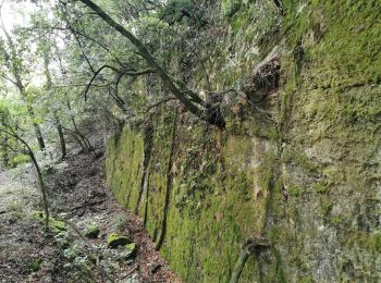 Randonnée Marche Méounes-lès-Montrieux - Chartreuse de Montrieux, lac et vallée du Gapeau - Photo