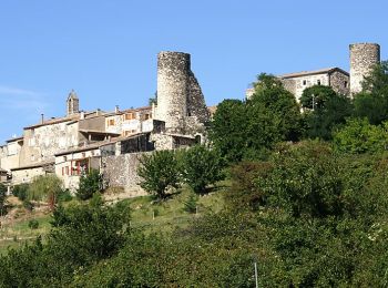 Excursión Senderismo Saint-Vincent-de-Barrès - St-Vincent-de-Barrès 