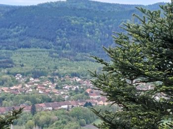 Tour Wandern Celles-sur-Plaine - celles sur plaine - Photo