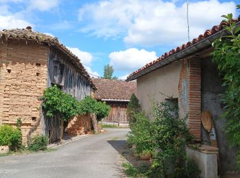 Randonnée Marche Nègrepelisse - Le long de l'Aveyron  - Photo