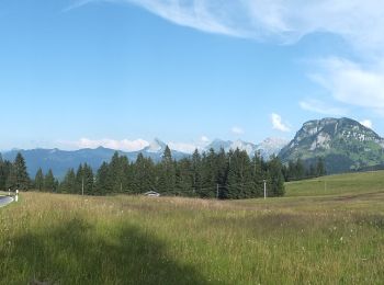 Tour Zu Fuß Einsiedeln - Geissweidli - Sattelegg - Photo