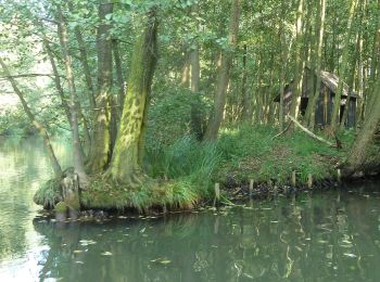 Tocht Te voet Lübbenau/Spreewald - Wanderweg Leipe-Kossateich (grüner Balken) - Photo