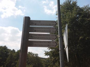 Randonnée A pied Sulzbach am Main - Roter Schmetterling, Rundwanderweg Soden - Photo