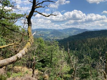 Randonnée Marche Dommartin-lès-Remiremont - Rocher et col du Cheneau  - Photo