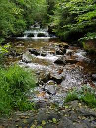 Trail Walking Jalhay - La balade des ruisseaux - Photo