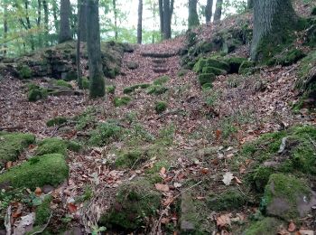 Trail On foot Freudenberg - Rundwanderweg Freudenberg Kreuzschleife 1: Schloss-Weg - Photo