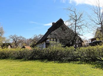 Percorso A piedi Ulsnis - Erholungsort Ulsnis: Rundweg Ulsnishöh - Photo