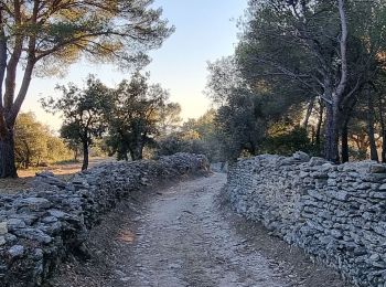 Trail Walking Saumane-de-Vaucluse - SityTrail - saumane  - Photo