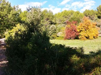 Randonnée Marche Callas - pierre reco le 5 novembre 2019 - Photo