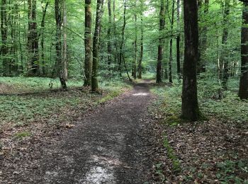 Percorso Marcia Le Gâvre - 07.08.2019 - GÂVRE nord et Clégreuc - Photo