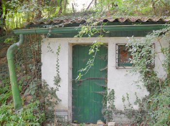 Tocht Te voet Gemeinde Großweikersdorf - Großweikersdorfer Rundwanderweg - Photo