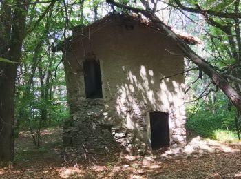 Trail Walking Perledo - Gittana - Photo