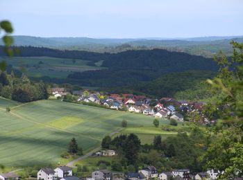 Percorso A piedi Bad Endbach - Wanderweg S - Photo