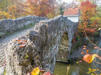 Excursión A pie Villars-sur-Glâne - Tour des trois rivières - Photo