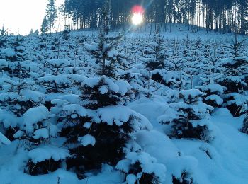 Randonnée A pied Scharten - Naturparkhöhenweg - Photo