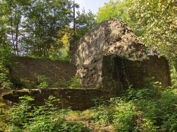 Percorso A piedi Gladenbach - [G4] - Rundweg Gladenbach - Reithalle - alter Pflanzengarten - Rachelshausen - Kehlnbach - Kehlnbachtal - Gladenbach - Photo