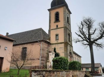 Randonnée Marche Claudon - Claudon- variante du seeentir des biches - Photo