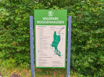 Trail On foot Aarau - Roggenhausen - Schönenwerd - Photo
