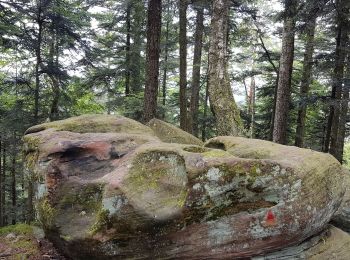 Trail Walking Vexaincourt - Lac de la Maix - Photo