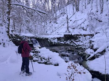 Excursión Raquetas de nieve Prémanon - premanon - Photo